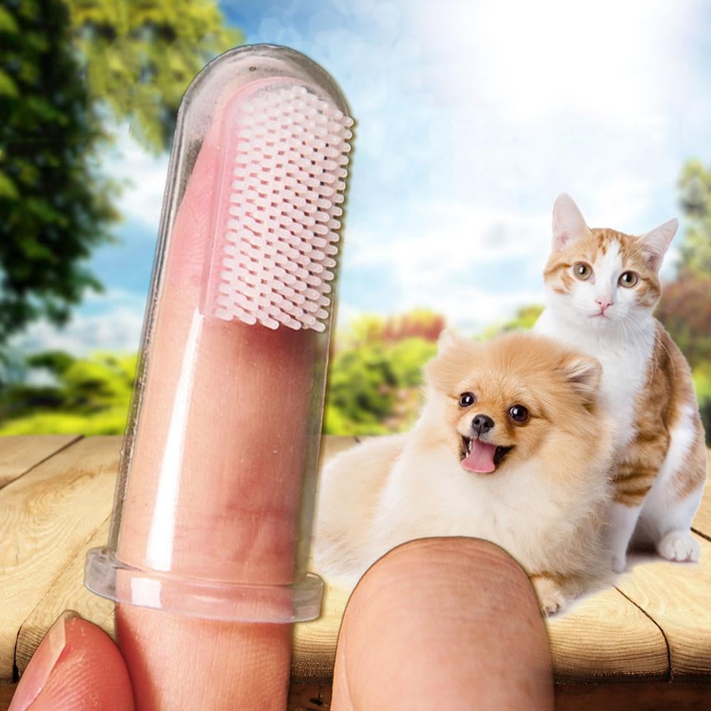 Superweiche Hunde- und Katzenzahnbürste