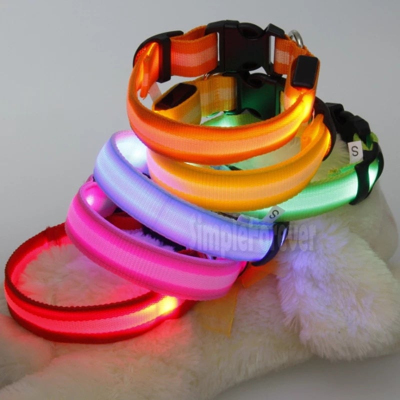 LED-Hundesicherheitshalsband – Leuchtet im Dunkeln
