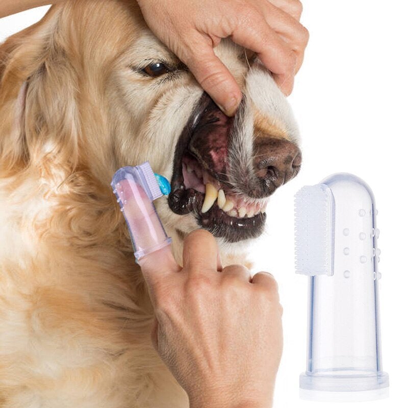 Superweiche Hunde- und Katzenzahnbürste
