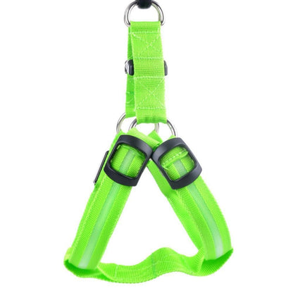 LED-Nylon-Sicherheitsgeschirr für Haustiere