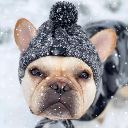 Winddichte Strickmütze für Hunde