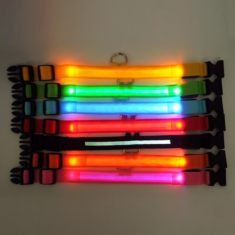 LED-Hundesicherheitshalsband – Leuchtet im Dunkeln