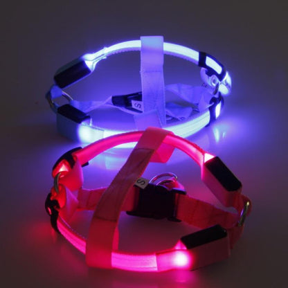 LED-Nylon-Sicherheitsgeschirr für Haustiere