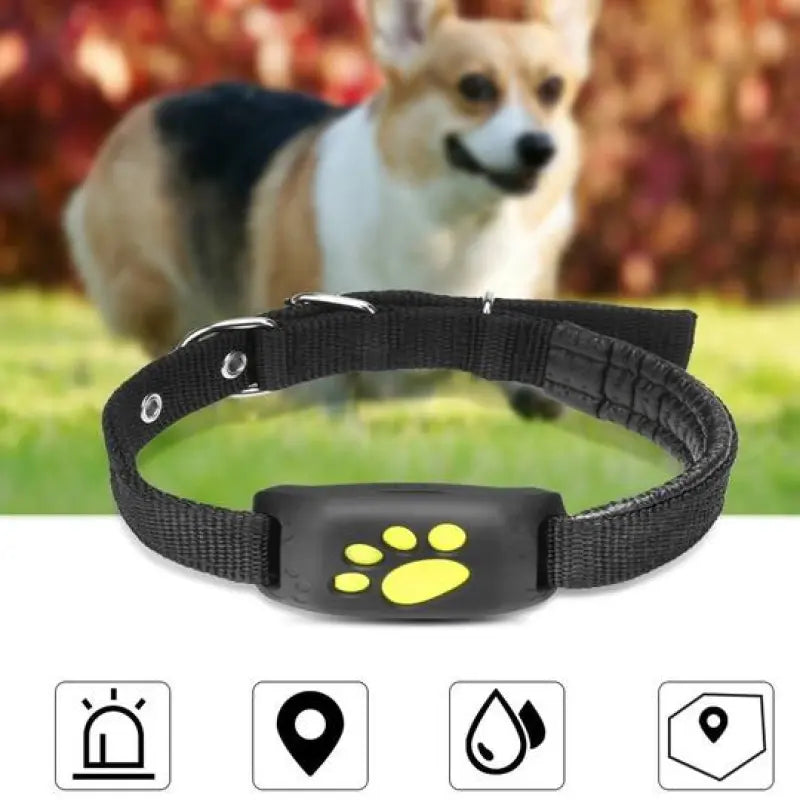 GPS Haustier-Tracker