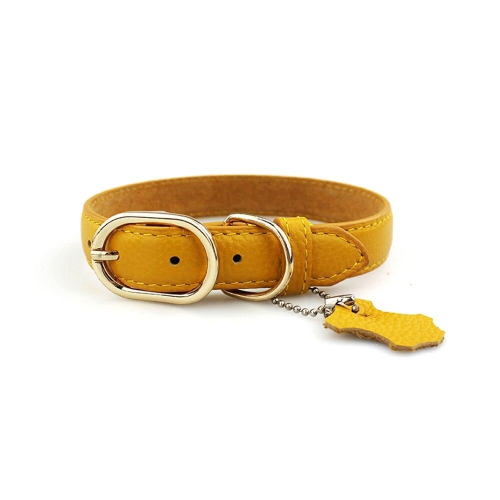 Klassisches Leder-Hundehalsband mit Anhänger
