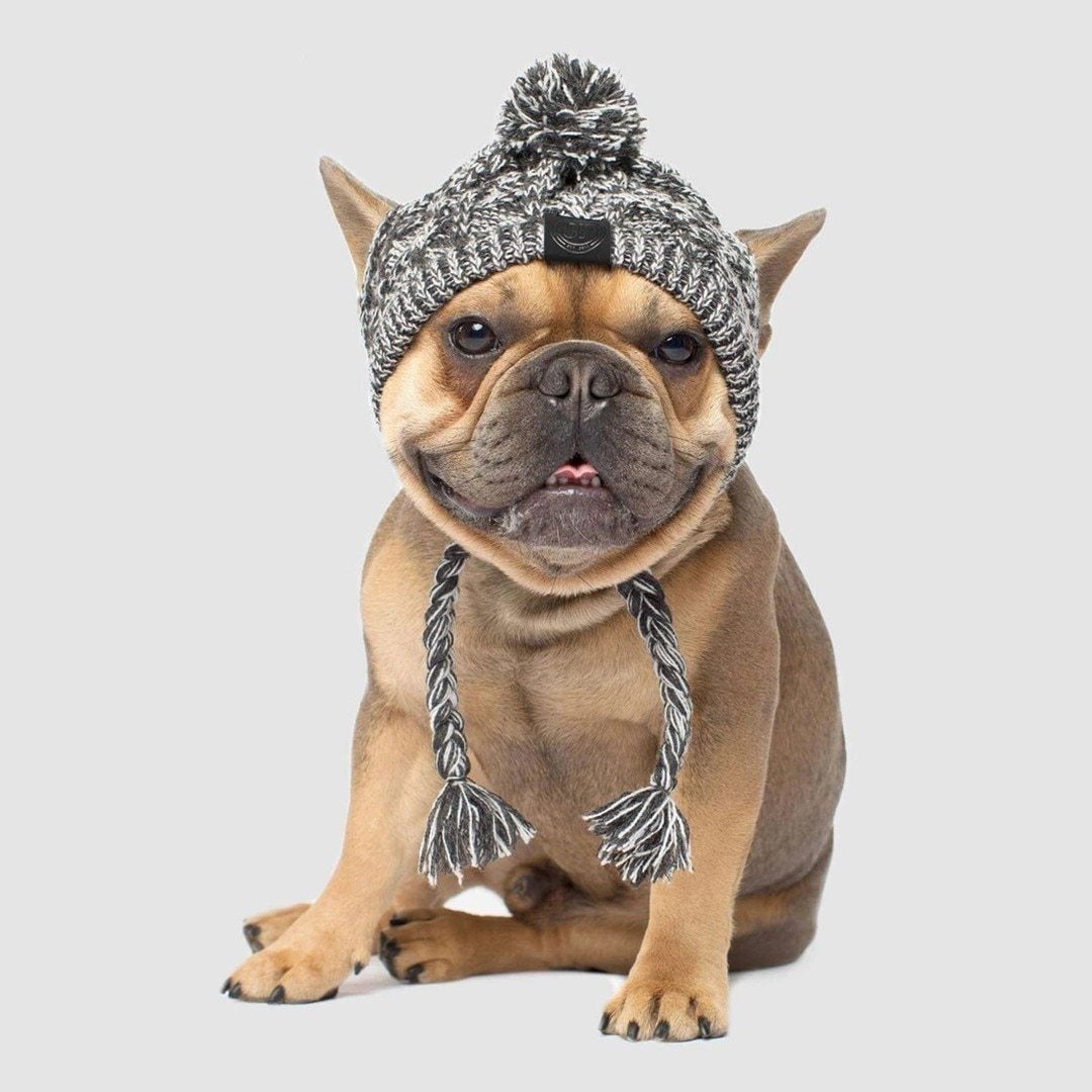 Winddichte Strickmütze für Hunde