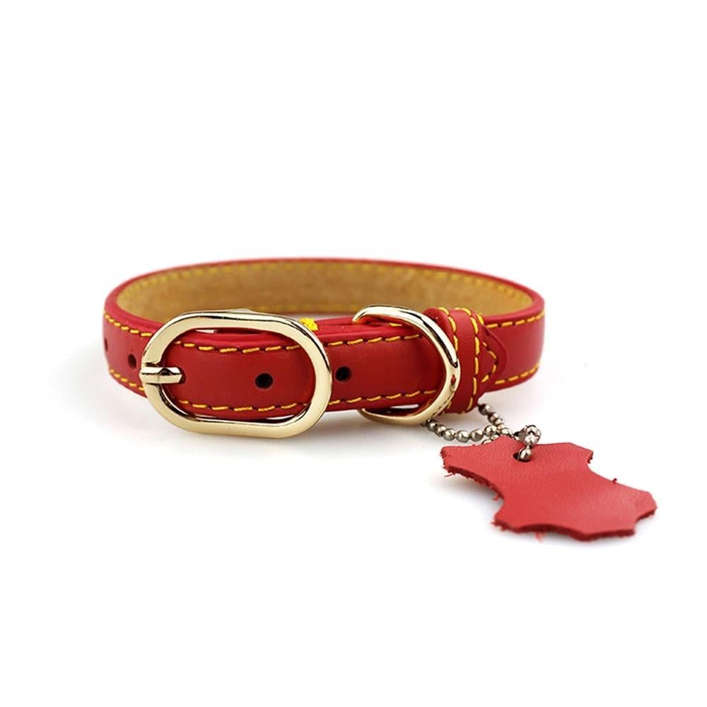 Klassisches Leder-Hundehalsband mit Anhänger