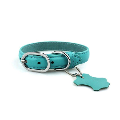 Klassisches Leder-Hundehalsband mit Anhänger
