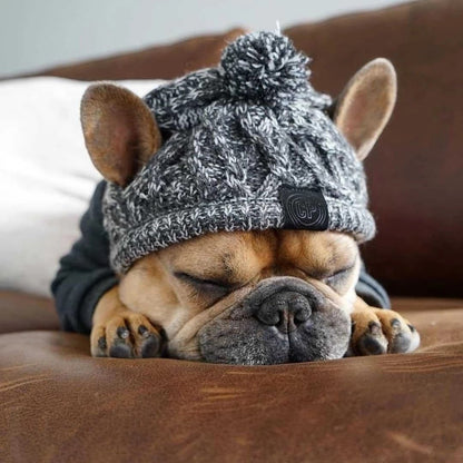 Winddichte Strickmütze für Hunde
