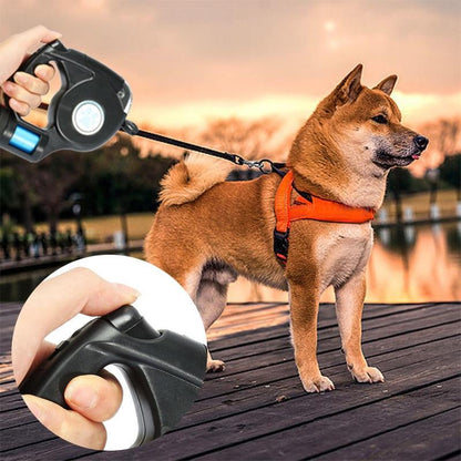 LED-Rollleine für Hunde