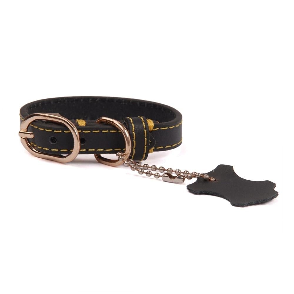 Klassisches Leder-Hundehalsband mit Anhänger